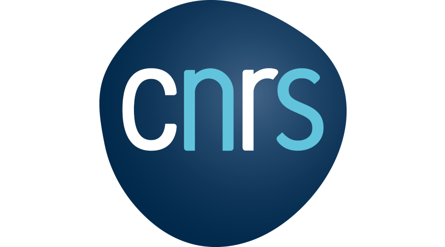 LOGO_CNRS_2019_RVB (1)